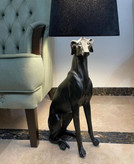 آباژور کنار سالنی سگ شکاری