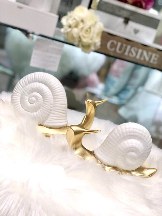 حلزون رومیزی