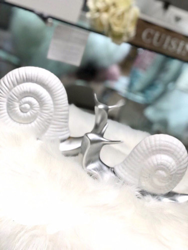 حلزون رومیزی