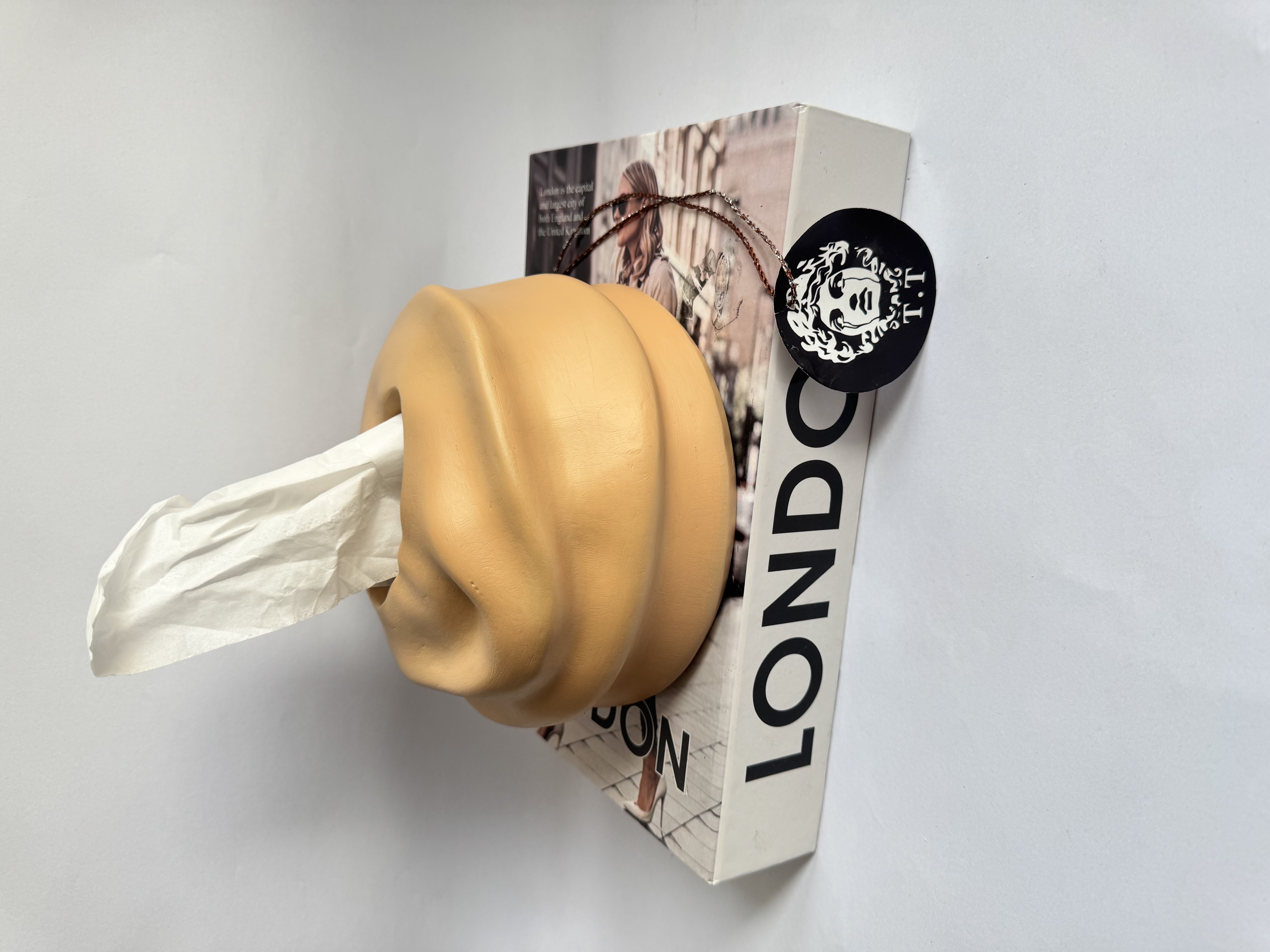 جای دستمال کاغذی