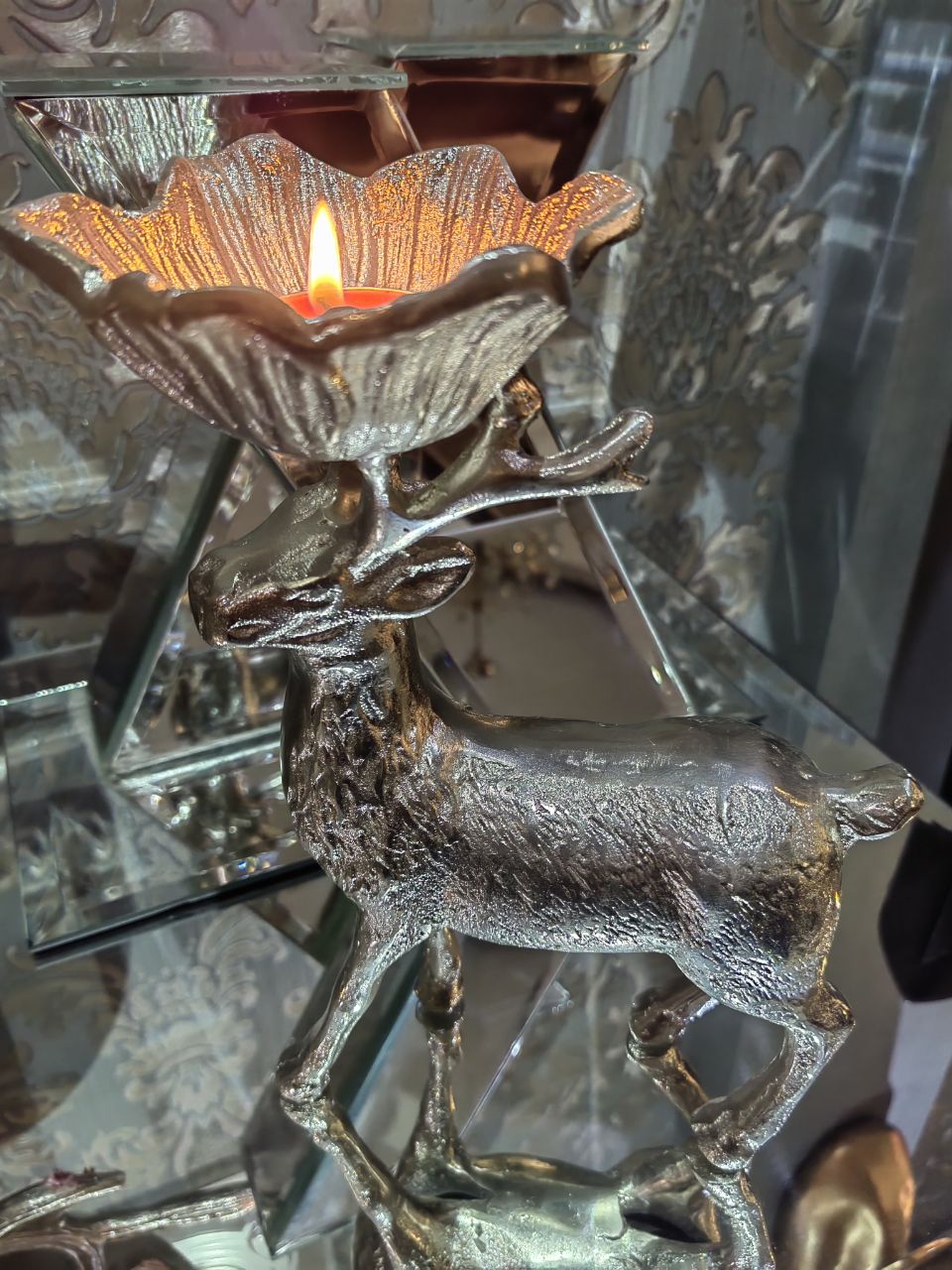 جاشمعی گوزن