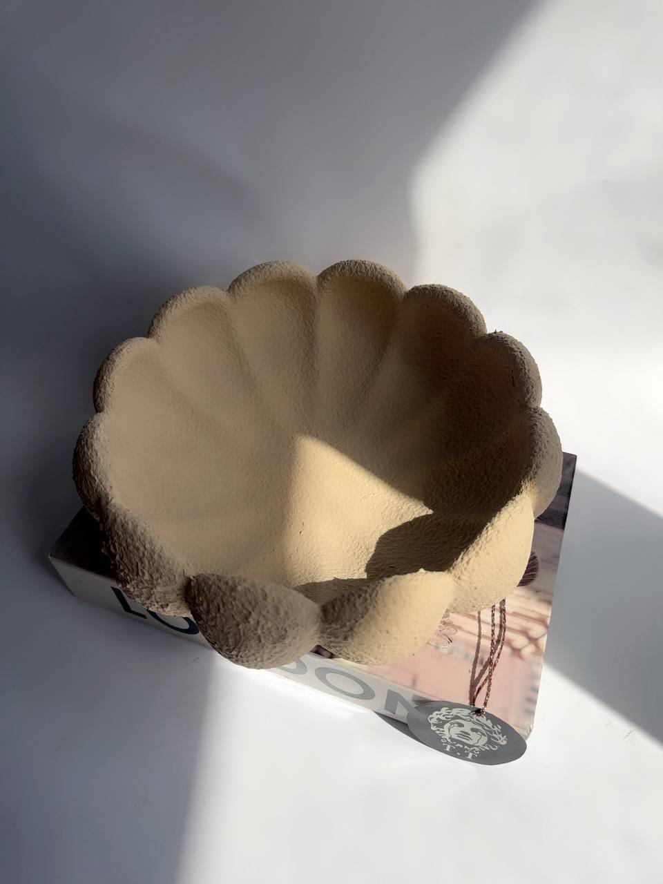 ظروف