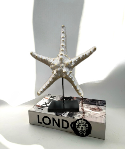 ستاره دریایی