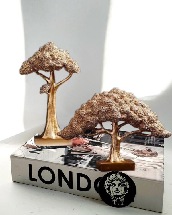 پاچیرا ثروت