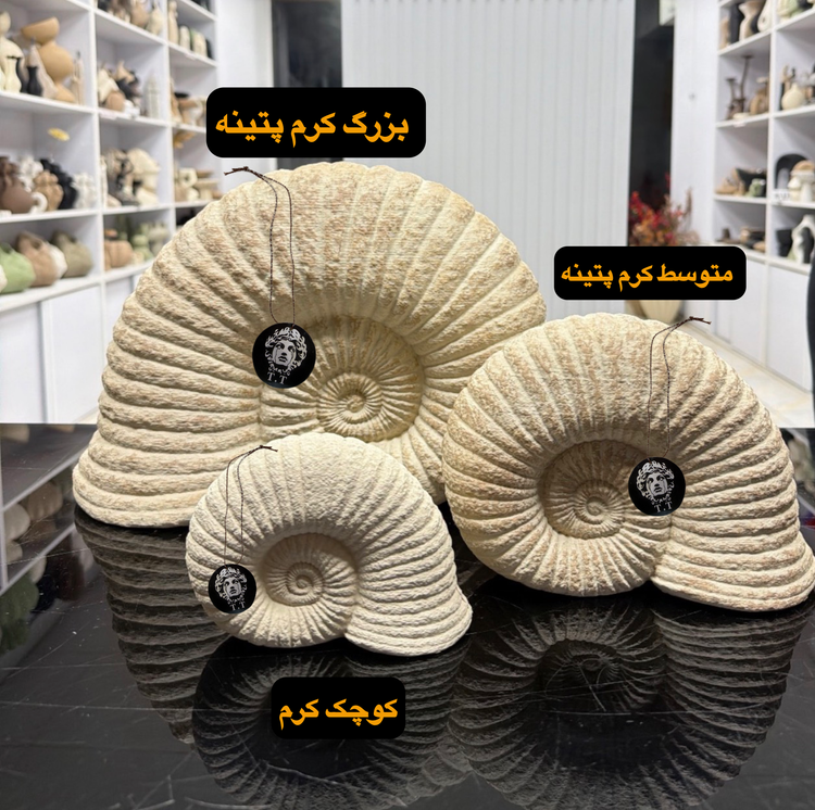 مجسمه دکوری رومیزی مدل صدف آمونیت کد۳۵۹۶